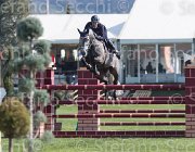 Bicocchi Rodgerio TosTour2013- S5 2093 : Arezzo, Arezzo Equestrian Centre, Bicocchi Emilio, Rodgerio, Toscana Tour 2013, foto di Stefano Secchi ©