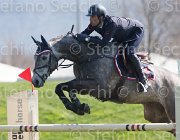 Bicocchi Rodgerio TosTour2013- S5 2098 : Arezzo, Arezzo Equestrian Centre, Bicocchi Emilio, Rodgerio, Toscana Tour 2013, foto di Stefano Secchi ©