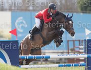 Bonomelli Castigo TosTour 2013- S5 7621 : Arezzo Equestrian Centre, Bonomelli Omar, Castigo della Caccia, Toscana Tour 2013, foto di Stefano Secchi ©