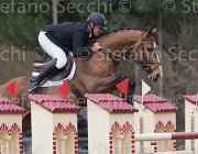 Bost Coeur TosTour 2013- S4 6738 : Arezzo Equestrian Centre, Bost Roger Yves, Coeur de la Loge, Toscana Tour 2013, foto di Stefano Secchi ©