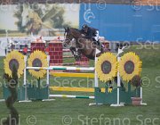 Bost Nippon TosTour2013- S5 1403 : Arezzo, Bost Roger Yves, Nippon d'Elle, Toscana Tour 2013, foto di Stefano Secchi ©