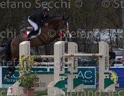 Bost Nippon TosTour 2013- S5 7874 : Arezzo Equestrian Centre, Bost Roger Yves, Nippon d'Elle, Toscana Tour 2013, foto di Stefano Secchi ©