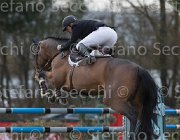 Bost Nippon TosTour 2013- S5 7878 : Arezzo Equestrian Centre, Bost Roger Yves, Nippon d'Elle, Toscana Tour 2013, foto di Stefano Secchi ©