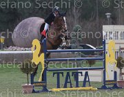 Bost Nippon TosTour 2013- S5 7879 : Arezzo Equestrian Centre, Bost Roger Yves, Nippon d'Elle, Toscana Tour 2013, foto di Stefano Secchi ©