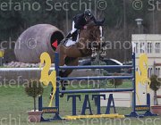 Bost Nippon TosTour 2013- S5 7880 : Arezzo Equestrian Centre, Bost Roger Yves, Nippon d'Elle, Toscana Tour 2013, foto di Stefano Secchi ©