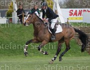 Bost Nippon TosTour 2013- S5 7891 : Arezzo Equestrian Centre, Bost Roger Yves, Nippon d'Elle, Toscana Tour 2013, foto di Stefano Secchi ©