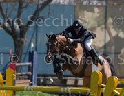 Bost Vivaldo TosTour2013- S5 2601 : Arezzo, Arezzo Equestrian Centre, Bost, Bost Roger Yves, Toscana Tour 2013, Vivaldo Van Het, foto di Stefano Secchi ©