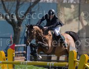 Bost Vivaldo TosTour2013- S5 2602 : Arezzo, Arezzo Equestrian Centre, Bost, Bost Roger Yves, Toscana Tour 2013, Vivaldo Van Het, foto di Stefano Secchi ©