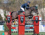 Brotto Gitana TosTour2013- S5 2502 : Arezzo, Arezzo Equestrian Centre, Brotto Fabio, R-Gitana, Toscana Tour 2013, foto di Stefano Secchi ©