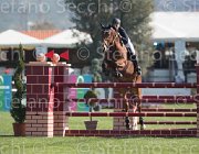 Buller Landor TosTour2013- S5 1975 : Arezzo, Arezzo Equestrian Centre, Buller Evie, Toscana Tour 2013, Yalambi's Landor, foto di Stefano Secchi ©