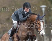 Cameron Antello TosTour 2013- S4 6530 : Antello Z, Arezzo Equestrian Centre, Hanley Cameron, Toscana Tour 2013, foto di Stefano Secchi ©