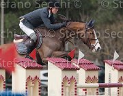 Cameron Antello TosTour 2013- S4 6534 : Antello Z, Arezzo Equestrian Centre, Hanley Cameron, Toscana Tour 2013, foto di Stefano Secchi ©