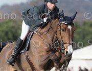 Carrara Cornetto TosTour 2013- S5 7667 : Arezzo Equestrian Centre, Carrara Alberto, Cornetto, Toscana Tour 2013, foto di Stefano Secchi ©