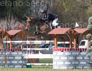Carraro Rimini TosTour2013- S5 2433 : Arezzo, Arezzo Equestrian Centre, Carraro Marcello, Rimini, Toscana Tour 2013, foto di Stefano Secchi ©