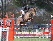 Carraro Rimini TosTour2013- S5 2435 : Arezzo, Arezzo Equestrian Centre, Carraro Marcello, Rimini, Toscana Tour 2013, foto di Stefano Secchi ©