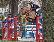 Chiaudani Cardinale TosTour 2013- S4 6494 : Arezzo Equestrian Centre, Cardinale, Chiaudani Natale, Toscana Tour 2013, foto di Stefano Secchi ©