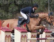 Chiaudani Cardinale TosTour 2013- S4 6500 : Arezzo Equestrian Centre, Cardinale, Chiaudani Natale, Toscana Tour 2013, foto di Stefano Secchi ©