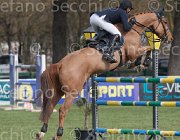 Chiaudani Cardinale TosTour 2013- S4 6501 : Arezzo Equestrian Centre, Cardinale, Chiaudani Natale, Toscana Tour 2013, foto di Stefano Secchi ©