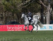 Chiaudani Corradio TosTour2013- S5 2464 : Arezzo, Arezzo Equestrian Centre, Chiaudani Natale, Corradio OH, Toscana Tour 2013, foto di Stefano Secchi ©