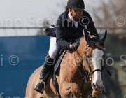Chiaudani Daylight TosTour 2013- S5 3412 : Arezzo Equestrian Centre, Chiaudani Natale, Daylight vdV, Toscana Tour 2013, foto di Stefano Secchi ©