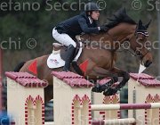 Clayton Ayetoro TosTour 2013- S4 7094 : Aiyetoro, Arezzo Equestrian Centre, Clayton Joseph, Toscana Tour 2013, foto di Stefano Secchi ©