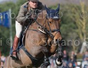 Coata Whycocnah TosTour 2013- S5 7439 : Arezzo Equestrian Centre, Coata Simone, Toscana Tour 2013, foto di Stefano Secchi ©, whycoconah