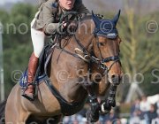 Coata Whycocnah TosTour 2013- S5 7440 : Arezzo Equestrian Centre, Coata Simone, Toscana Tour 2013, foto di Stefano Secchi ©, whycoconah