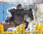Coata Whycoconah TosTour2013- S5 2576 : Arezzo, Arezzo Equestrian Centre, Coata Simone, Toscana Tour 2013 Whycoconah, foto di Stefano Secchi ©