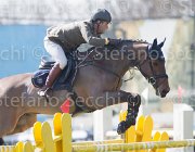 Coata Whycoconah TosTour2013- S5 2577 : Arezzo, Arezzo Equestrian Centre, Coata Simone, Toscana Tour 2013 Whycoconah, foto di Stefano Secchi ©