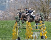 Colombo Winner TosTour2013- S5 2824 : Arezzo, Arezzo Equestrian Centre, Colombo Alessandro, Toscana Tour 2013, Winner, foto di Stefano Secchi ©
