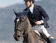Colombo Winner TosTour2013- S5 2829 : Arezzo, Arezzo Equestrian Centre, Colombo Alessandro, Toscana Tour 2013, Winner, foto di Stefano Secchi ©