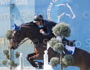 Consorti Silvestras TosTour2013- S5 2241 : Arezzo, Arezzo Equestrian Centre, Consorti Giovanni, Silverstras, Toscana Tour 2013, foto di Stefano Secchi ©