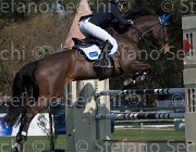 Consorti Silvestras TosTour2013- S5 2243 : Arezzo, Arezzo Equestrian Centre, Consorti Giovanni, Silverstras, Toscana Tour 2013, foto di Stefano Secchi ©