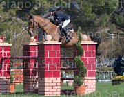 Curcio Katar TosTour2013- S5 2161 : Arezzo, Arezzo Equestrian Centre, Courcio Serena_Katar Z, Toscana Tour 2013, foto di Stefano Secchi ©