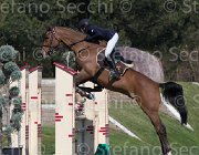 Curcio Katar TosTour2013- S5 2162 : Arezzo, Arezzo Equestrian Centre, Courcio Serena_Katar Z, Toscana Tour 2013, foto di Stefano Secchi ©