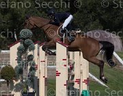 Curcio Katar TosTour2013- S5 2163 : Arezzo, Arezzo Equestrian Centre, Courcio Serena_Katar Z, Toscana Tour 2013, foto di Stefano Secchi ©