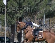 Curcio Katar TosTour2013- S5 2169 : Arezzo, Arezzo Equestrian Centre, Courcio Serena_Katar Z, Toscana Tour 2013, foto di Stefano Secchi ©