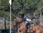 Curcio Katar TosTour2013- S5 2170 : Arezzo, Arezzo Equestrian Centre, Courcio Serena_Katar Z, Toscana Tour 2013, foto di Stefano Secchi ©