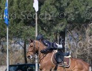 Curcio Katar TosTour2013- S5 2171 : Arezzo, Arezzo Equestrian Centre, Courcio Serena_Katar Z, Toscana Tour 2013, foto di Stefano Secchi ©
