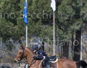 Curcio Katar TosTour2013- S5 2173 : Arezzo, Arezzo Equestrian Centre, Courcio Serena_Katar Z, Toscana Tour 2013, foto di Stefano Secchi ©