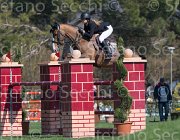 DAllamano Zico TosTour2013- S5 2204 : Arezzo, Arezzo Equestrian Centre, Dallamano Julia, Toscana Tour 2013, Zico V, foto di Stefano Secchi ©