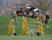 Dallamano Pollux TosTour2013- S5 2932 : Arezzo, Arezzo Equestrian Centre, Dallamano Julia, Pollux des Sources, Toscana Tour 2013, foto di Stefano Secchi ©