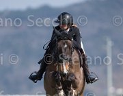 Dallamano Pollux TosTour2013- S5 2935 : Arezzo, Arezzo Equestrian Centre, Dallamano Julia, Pollux des Sources, Toscana Tour 2013, foto di Stefano Secchi ©