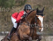 Dallamano Zico TosTour 2013- S4 6427 : Arezzo Equestrian Centre, Dallamano Julia, Toscana Tour 2013, Zico V, foto di Stefano Secchi ©