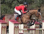 Dallamano Zico TosTour 2013- S4 6430 : Arezzo Equestrian Centre, Dallamano Julia, Toscana Tour 2013, Zico V, foto di Stefano Secchi ©