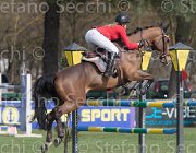 Dallamano Zico TosTour 2013- S4 6431 : Arezzo Equestrian Centre, Dallamano Julia, Toscana Tour 2013, Zico V, foto di Stefano Secchi ©