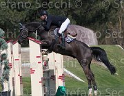 Estermann Uddel TosTour2013- S5 2154 : Arezzo, Arezzo Equestrian Centre, Estermann Paul, Toscana Tour 2013, Uddel, foto di Stefano Secchi ©