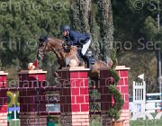 Eugster Pandore TosTour2013- S5 2120 : Arezzo, Arezzo Equestrian Centre, Eugster Manuel, Pandore de Bliniere, Toscana Tour 2013, foto di Stefano Secchi ©