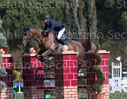 Eugster Pandore TosTour2013- S5 2121 : Arezzo, Arezzo Equestrian Centre, Eugster Manuel, Pandore de Bliniere, Toscana Tour 2013, foto di Stefano Secchi ©