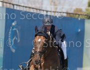 Eugster Pandore TosTour2013- S5 2122 : Arezzo, Arezzo Equestrian Centre, Eugster Manuel, Pandore de Bliniere, Toscana Tour 2013, foto di Stefano Secchi ©